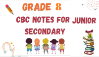 grade 8 notes