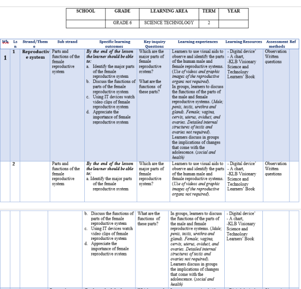 Science and technology VISIONARY term 2 grade 6 scheme of work 2024
