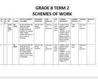 grade 8 term 2 schemes of work